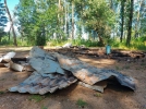 В «Парке без границ» в Великих Луках сожгли летнюю беседку - 2022-07-22 11:25:00 - 4