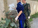 Состоялась акция «Псков - безопасная территория» - 2021-07-26 12:34:00 - 5