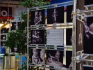 Фотовыставка “Особый мир особых мастеров” открылась в Великих Луках - 2022-06-16 12:56:49 - 7