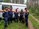 Спасатели нашли заблудившуюся семейную пару в Палкинском районе - 2023-08-03 16:05:00 - 3