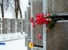 В Великих Луках прошли памятные мероприятия к 23 февраля - 2022-02-24 12:13:00 - 3