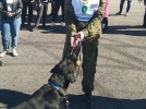 Кинологи из Псковской таможни стали лучшими на соревнованиях СЗФО - 2023-04-28 09:35:00 - 9