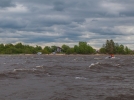 В Гдовском районе провели учения по обеспечению безопасности на воде - 2022-06-04 12:00:00 - 5