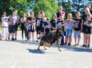 Псковские полицейские провели «День безопасности» для детей Белгородской области - 2024-05-24 15:35:00 - 7
