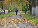 Пять улиц в Печорском районе обновили по дорожному нацпроекту - 2021-10-06 08:48:00 - 14
