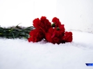 В Великих Луках прошли памятные мероприятия к 23 февраля - 2022-02-24 12:13:00 - 11