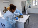 Спасенный маленький леопард прошел вакцинацию - 2022-09-11 20:00:00 - 5