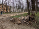 К реновации Пушкинского сквера приступили в Великих Луках - 2023-04-13 15:16:00 - 5