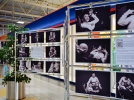 Фотовыставка “Особый мир особых мастеров” открылась в Великих Луках - 2022-06-16 12:56:49 - 5