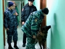 В Великих Луках проведен антинаркотический рейд по студенческим общежитиям - 2022-11-25 17:05:00 - 4