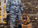Служебная овчарка нашла потерявшегося грибника в Себежском районе - 2023-10-24 16:35:00 - 3