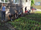 Акция «Цветы жизни» прошла в Великих Луках - 2022-06-01 17:35:00 - 5
