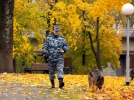 Служебная овчарка нашла потерявшегося грибника в Себежском районе - 2023-10-24 16:35:00 - 7