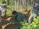 Поисковая деятельность великолукских волонтеров отмечена почетной грамотой - 2023-08-23 11:35:00 - 4