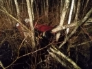 Двоих великолучан нашли погибшими спустя месяц поисков - 2021-11-07 21:56:44 - 5