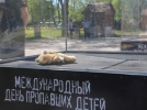 В Пскове открылась выставка, посвященная Дню пропавших детей - 2022-05-26 11:05:00 - 5