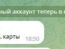 Мошенники в Великих Луках скупают Пушкинские карты - 2023-02-14 10:05:00 - 3