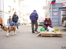 Весенняя ярмарка вернулась в Великие Луки спустя два года - 2022-04-30 15:00:00 - 17