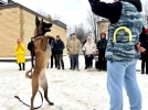 В Великих Луках продолжается акция «Студенческий десант» - 2024-01-25 11:35:00 - 9