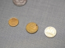 Акция по сбору советских монет открылась в Псковском музее - 2024-05-14 09:35:00 - 7