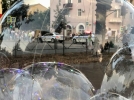 120 сотрудников полиции обеспечили порядок в День города в Великих Луках - 2022-08-29 12:05:00 - 11