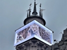 Посетителям Московского зоопарка расскажут о кошке-невидимке - 2022-11-13 20:00:00 - 6