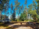 В «Парке без границ» в Великих Луках сожгли летнюю беседку - 2022-07-22 11:25:00 - 6