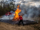 Учения по тушению лесного пожара прошли в Струго-Красненском районе - 2023-04-27 08:35:00 - 3