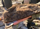 Поисковая деятельность великолукских волонтеров отмечена почетной грамотой - 2023-08-23 11:35:00 - 6