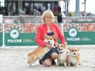 Более 6,5 тысяч собак: прошла крупнейшая кинологическая выставка «Россия 2023» - 2023-06-14 12:05:00 - 13