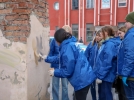 В Пскове закрасили более 50 граффити с незаконной рекламой наркотиков - 2024-03-20 11:05:00 - 5