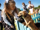 Благотворительный фестиваль в помощь бездомным животным прошёл в Порхове - 2021-06-06 19:00:00 - 8