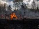 Учения по тушению лесного пожара прошли в Струго-Красненском районе - 2023-04-27 08:35:00 - 9