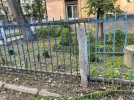 Великолукские полицейские нашли туи и ивы, украденные от здания музея - 2022-09-01 14:05:00 - 6