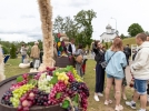 В Пскове открылся эногастрономический фестиваль «Виноград» - 2022-06-20 09:05:00 - 8