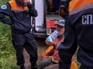 Спасатели нашли заблудившуюся семейную пару в Палкинском районе - 2023-08-03 16:05:00 - 6