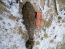 В Пскове обезвредили снаряд, найденный на улице Ленина - 2021-11-24 13:35:00 - 4