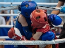 В тайском боксе соревновались юные великолучане - 2024-05-25 19:47:00 - 9