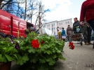 Весенняя ярмарка вернулась в Великие Луки спустя два года - 2022-04-30 15:00:00 - 14