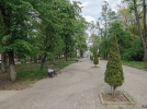 В Пушкинском сквере обновили арку и установили ворк-аут площадку - 2023-05-17 16:02:00 - 7