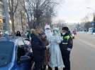 В Великих Луках прошла акция ГИБДД «Елка безопасности» - 2021-12-24 10:35:00 - 7