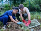 Двухмесячных котят леопарда обследовали специалисты - 2022-09-18 20:00:00 - 12