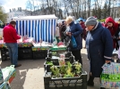 Весенняя ярмарка вернулась в Великие Луки спустя два года - 2022-04-30 15:00:00 - 9