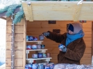 Новогодняя ярмарка начала работать в Пскове - 2021-12-21 10:05:00 - 3