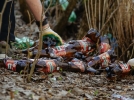 Рабочие великолукских предприятий убирают город от грязи - 2023-04-20 15:37:00 - 7
