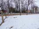 В Великих Луках отремонтируют сквер на перекрестке Ленина-Ставского - 2023-02-15 14:03:00 - 6