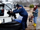 Спасатели Псковской области помогли жителям островов и их питомцам - 2024-03-25 16:35:00 - 7