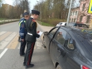Акция «Помним! Гордимся!» прошла в Великих Луках - 2022-05-05 13:35:00 - 7