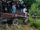 Три леопарда отправились жить в дикую природу - 2022-07-24 20:00:00 - 3