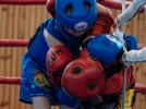В тайском боксе соревновались юные великолучане - 2024-05-25 19:47:00 - 7
